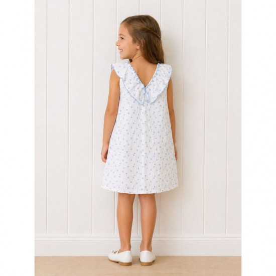 Rapife White And Blue Floral Printed Dress 