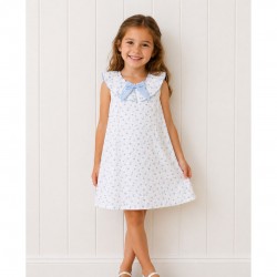 Rapife White And Blue Floral Printed Dress 